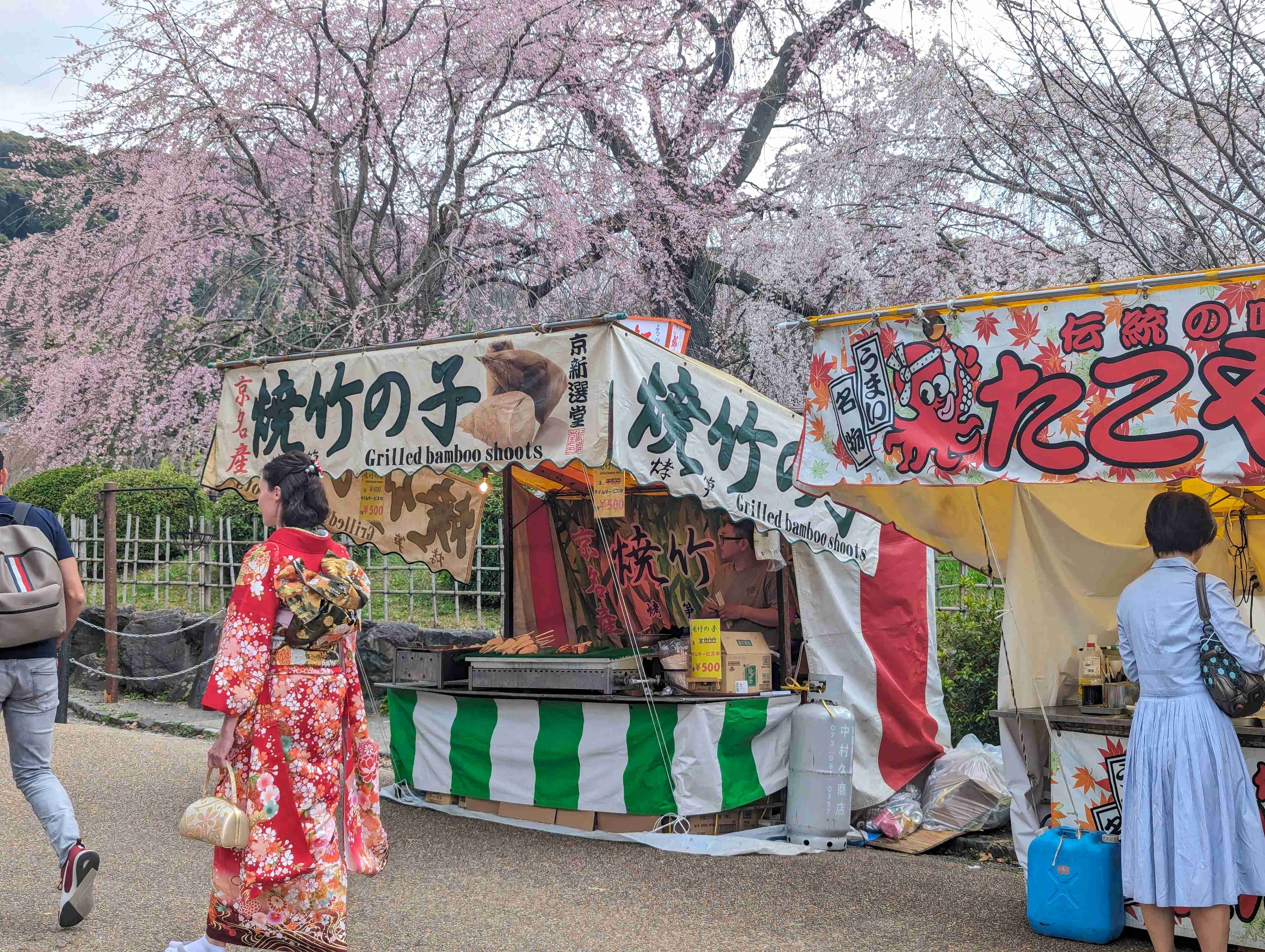 🌸 마루야마 공원(마루야마 코엔) 이미지 4